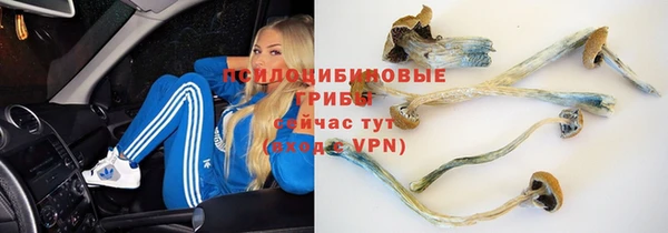 герыч Нефтекумск
