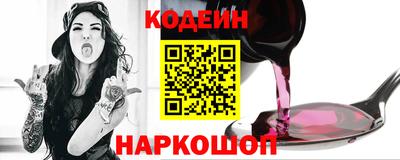 стафф Гай