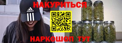 стафф Гай
