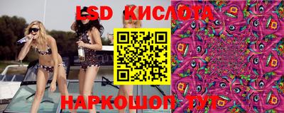 твердый Гай