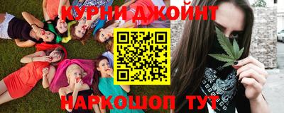 стафф Гай