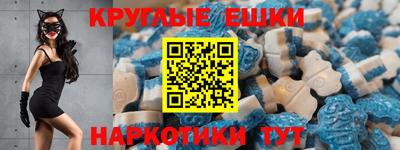 стафф Гай