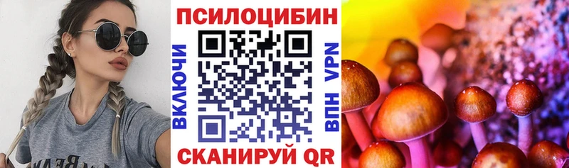 omg маркетплейс  Ижевск  Галлюциногенные грибы Psilocybine cubensis 