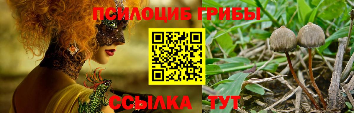 купить закладку  Галлюциногенные грибы Psilocybe  Ижевск  Псилоцибиновые грибы мицелий 